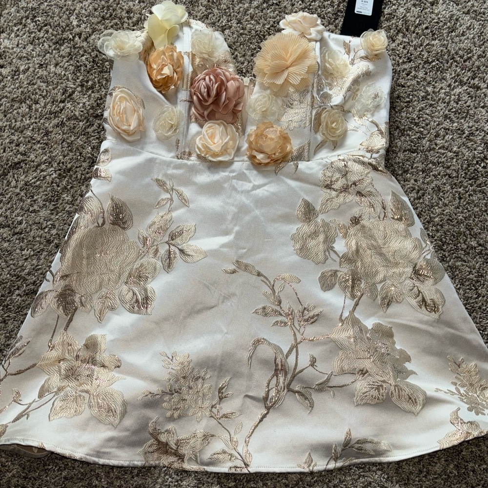 Fashion nova  dress